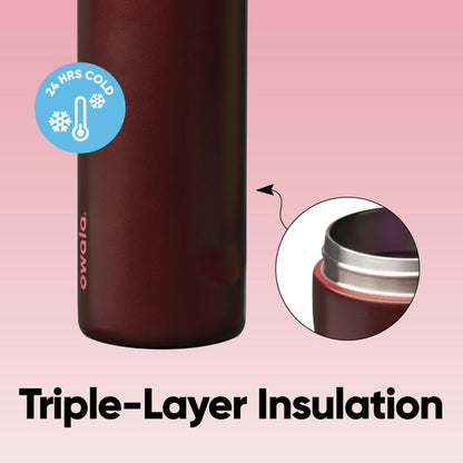 Owala FreeSip Black Cherry 24 oz Insulated Stainless Steel Water Bottle with Straw